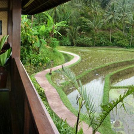 Bali Eco Stay Exterior foto