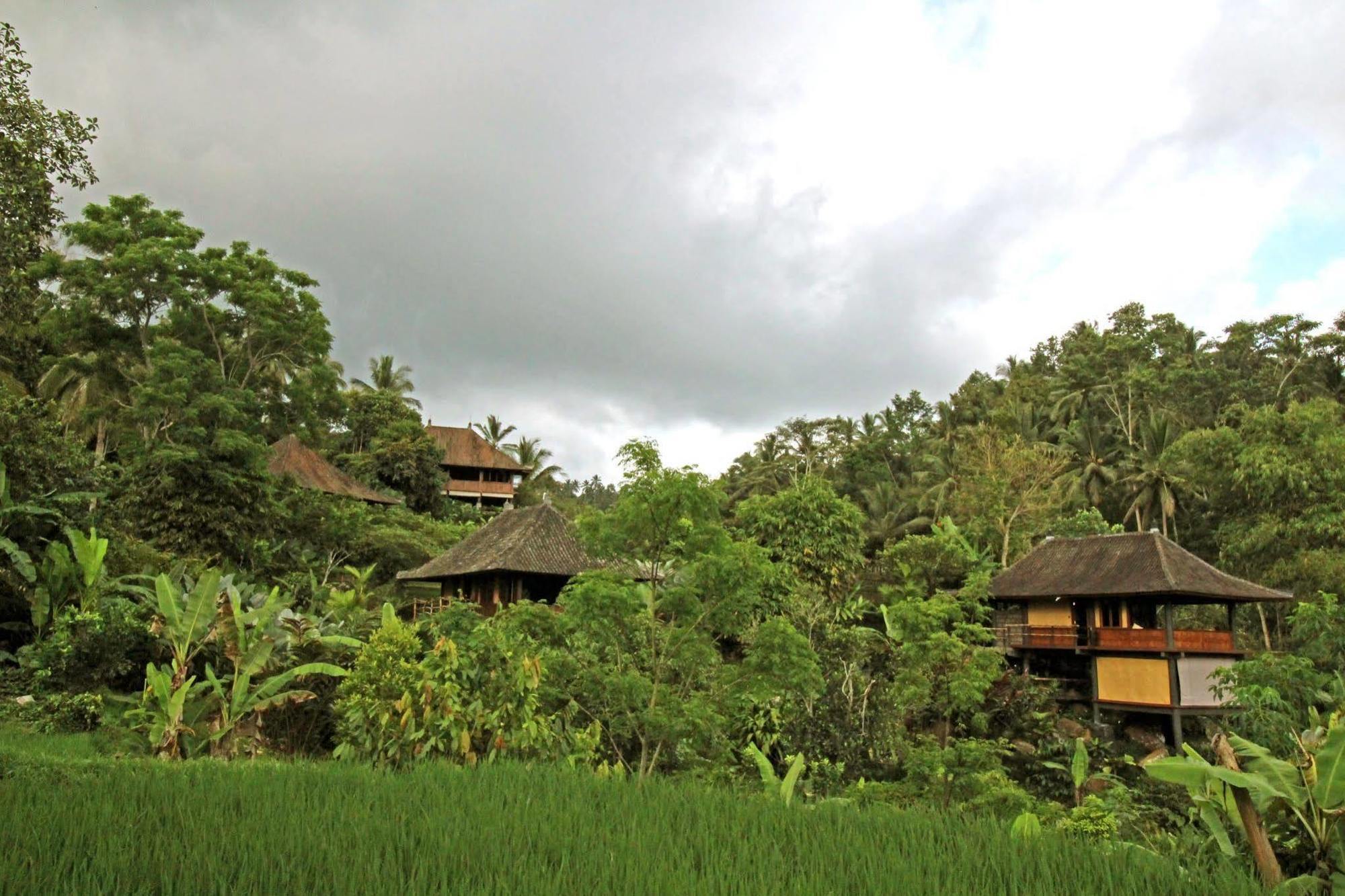 Bali Eco Stay Exterior foto